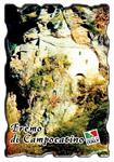 Lekalamitiche Crystal Campocatino