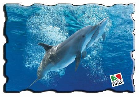 Lekalamitiche Ecocrystal Delfini
