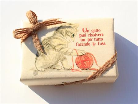 Soap Gatto